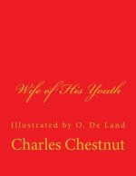 Wife of His Youth