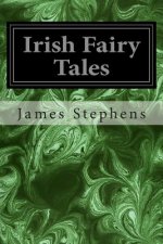 Irish Fairy Tales