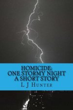 Homicide: One Stormy Night