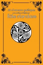 30 Chansons Gaéliques Avec Partitions Et Doigtés Pour Fl?te Irlandaise
