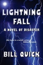 Lightning Fall: A Novel of Disaster