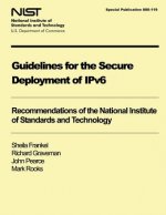 NIST Special Publication 800-119: Guidelines for the Secure Deployment of IPv6
