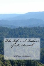 The Life and Labors of St. Patrick