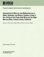 Assessment of Mercury and Methylmercury in Water, Sediment, and Biota in Sulphur Creek in the vicinity of the Clyde Gold Mine and the Elgin Mercury Mi