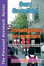 Investigating an accident: of tigers and turtles