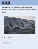 Distribution of Late Pleistocene Ice-Rich Syngenetic Permafrost of the Yedoma Suite in East and Central Siberia, Russia