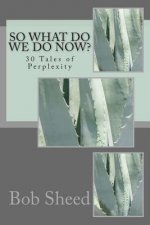 So What Do We Do Now?: 30 Tales of Perplexity
