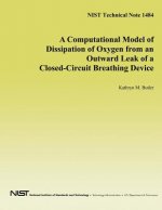 A Computational Model of Dissipation of Oxygen from an Outward Leak of a Closed-Circuit Breathing Device