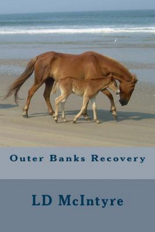 Outer Banks Recovery