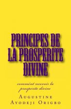 principes de la PROSPERITE DIVINE: comment recevoir la prosperite divine