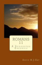 Romans 11: A Suggested Exegesis