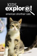American Shorthair Cat - Kids Explore: Animal books nonfiction - books ages 5-6