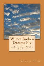 Where Broken Dreams Fly: ...the complete story...