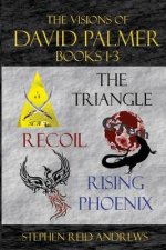 The Visions of David Palmer Series Books 1-3: The Triangle, Recoil, and Rising Phoenix