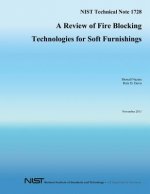 A Review of FireBlocking Technologies for Soft Furnishings
