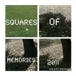 Squares of memories: 2011