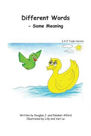 Different Words 6X9 Trade Version: - Same Meanings