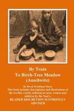 Auschwitz - By Train To Birch Tree Meadow