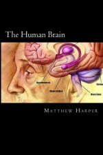 The Human Brain: A Fascinating Book Containing Human Brain Facts, Trivia, Images & Memory Recall Quiz: Suitable for Adults & Children