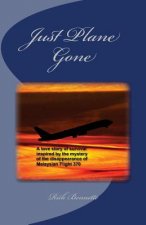 Just Plane Gone