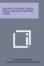 Smooth Stones Taken from Ancient Brooks (1860)