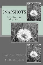 Snapshots: A collection of poetry