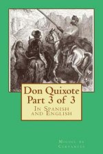 Don Quixote Part 3 of 3: In Spanish and English