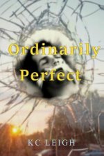 Ordinarily Perfect: A car accident, a brain injury...will anything be ordinary again?