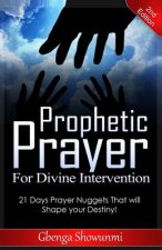 Prophetic Prayer for Divine Intervention: 21 Days Prayer Nuggets that Will Shape Your Destiny!