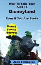 How To Take Your Kids To Disneyland Even If You Are Broke: Money Saving Secrets