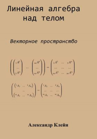 Linear Algebra Over Division Ring (Russian Edition): Vector Space (Aleks Kleyn)(Brožovaná)