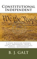 Constitutional Independent: A State Ratified Federal Limit Amendment, Need A 3rd Party? Constitutional Federal Government