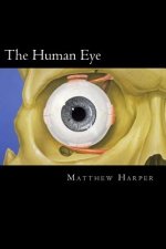 The Human Eye: A Fascinating Book Containing Human Eye Facts, Trivia, Images & Memory Recall Quiz: Suitable for Adults & Children