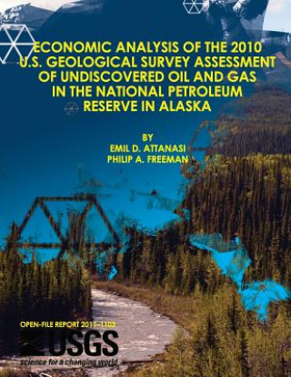 Economic Analysis of the 2010 U.S. Geological Survey Assessment of Undiscovered Oil and Gas in the National Petroleum Reserve in Alaska
