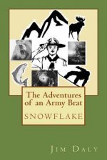 The Adventures of an Army Brat: snowflake