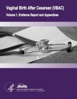 Vaginal Birth After Cesarean (VBAC): Volume 1. Evidence Report and Appendixes