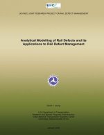 Analytical Modelling of Rail Defects and Its Applications to Rail Defect Management