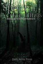 Spectral Hauntings: anthology of the supernatural II