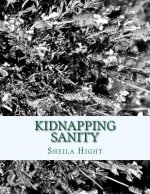 Kidnapping Sanity