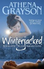 WinterJacked: WinterJacked Book One