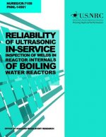 Reliability of Ultrasonic In-Service Inspection of Welds in Reactor Internals of Boiling Water Reactors