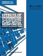 Effects of Degradation on the Severe Accident Consequences for a PWR Plant with a Reinforced Concrete Containment Vessel