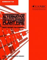 Compensatory and Alternative Regulatory Measures for Nuclear Power Plant Fire Protection (Carmen-Fire): Draft Report for Comment