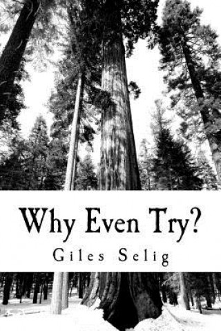 Why Even Try?: What Difference is it Going to Make