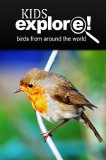 Birds From Around The World - Kids Explore: Animal books nonfiction - books ages 5-6