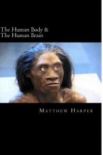 The Human Body & The Human Brain: A Fascinating Book Containing Human Body & Brain Facts, Trivia, Images & Memory Recall Quiz: Suitable for Adults & C