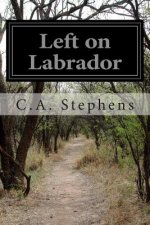 Left on Labrador: Or, the Cruise of the Schooner-Yacht 