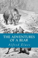 The Adventures of a Bear