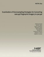 Examination of Downsampling Strategies for Converting 1000 ppi Fingerprint Imagery to 500 ppi