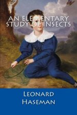 An Elementary Study of Insects
